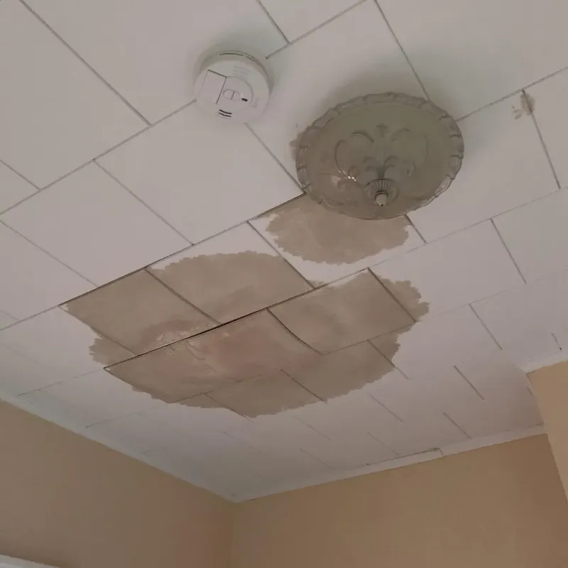 Ceiling Water Damage Repair in Hollandale, MS