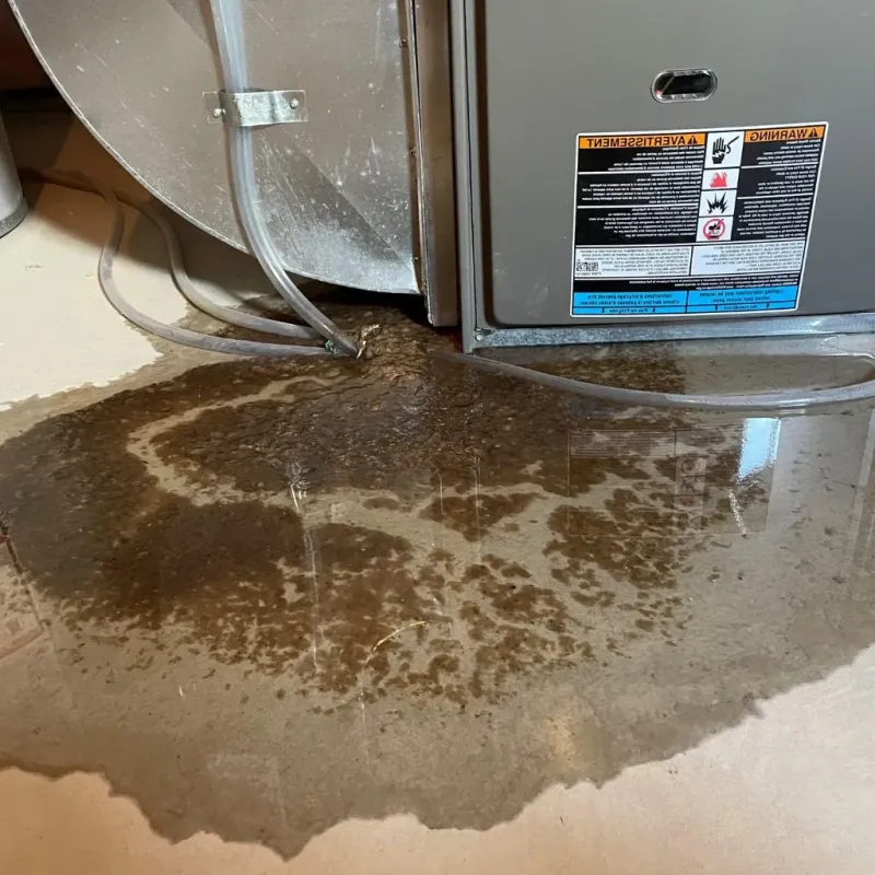 Pipe Burst and Leak Restoration in Hollandale, MS
