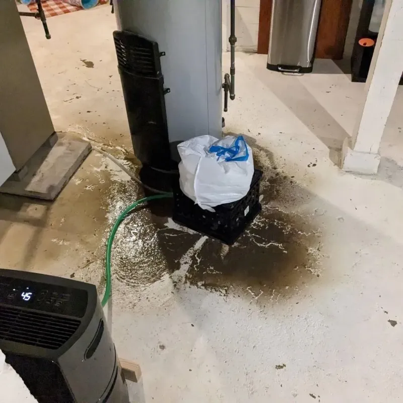 Sewage Backup Cleanup Service in Hollandale, MS